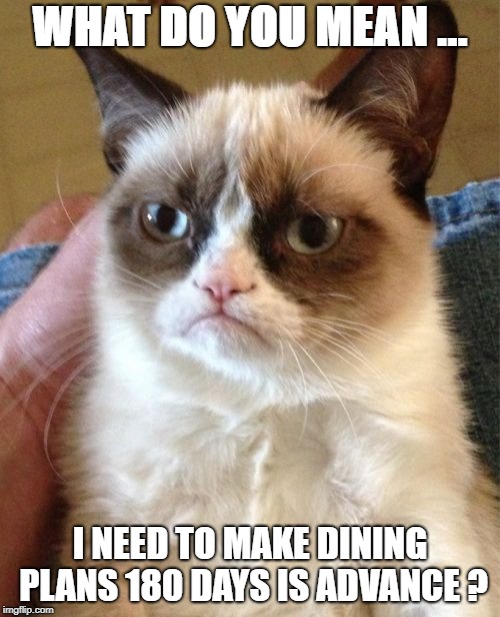 Grumpy Cat Meme | WHAT DO YOU MEAN ... I NEED TO MAKE DINING PLANS 180 DAYS IS ADVANCE ? | image tagged in memes,grumpy cat | made w/ Imgflip meme maker