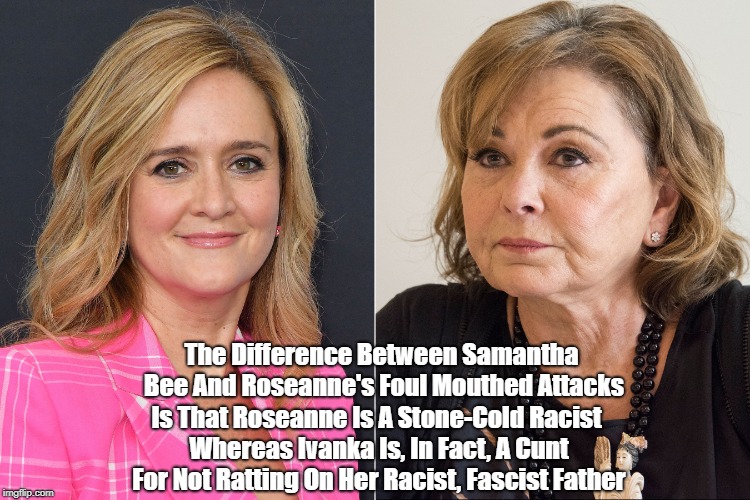 The Difference Between Samantha Bee And Roseanne's Foul Mouthed Attacks Is That Roseanne Is A Stone-Cold Racist Whereas Ivanka Is, In Fact,  | made w/ Imgflip meme maker
