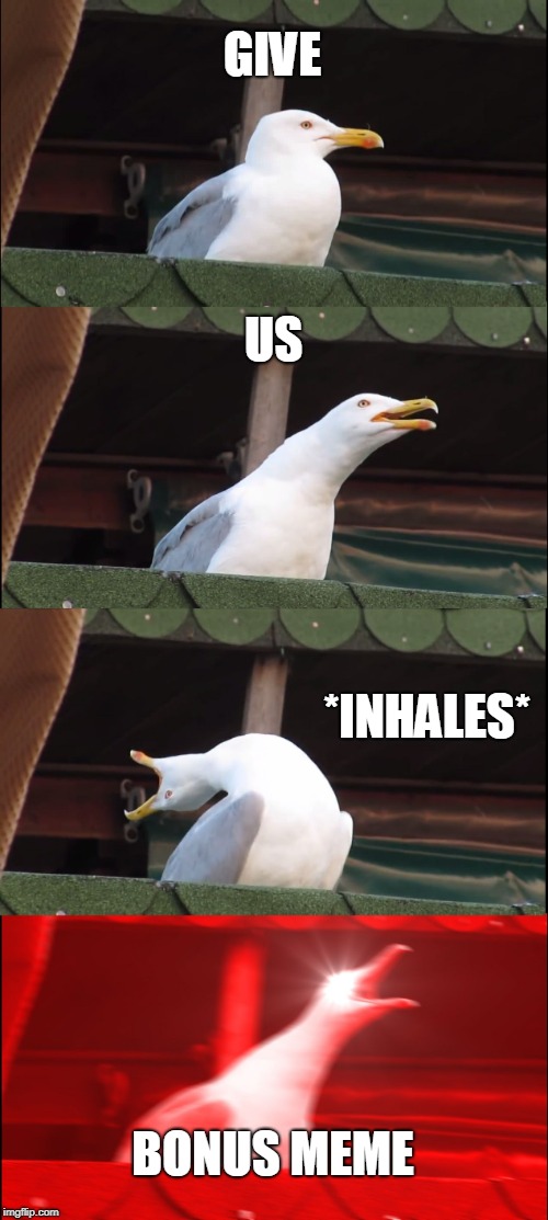 Inhaling Seagull Meme | GIVE; US; *INHALES*; BONUS MEME | image tagged in memes,inhaling seagull | made w/ Imgflip meme maker