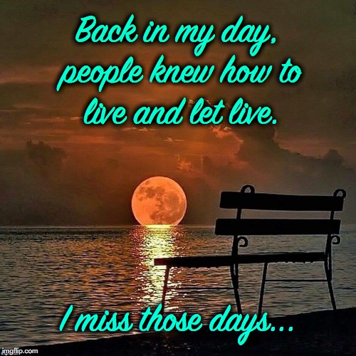 The Past Had A Lot Of Good Things About It. | Back in my day, people knew how to live and let live. I miss those days... | image tagged in good times | made w/ Imgflip meme maker