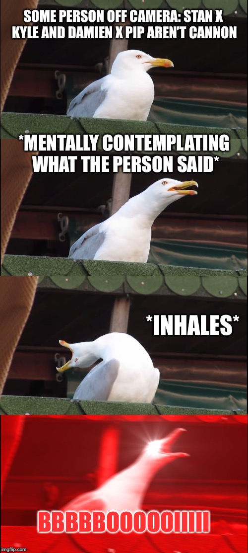 Inhaling Seagull Meme | SOME PERSON OFF CAMERA: STAN X KYLE AND DAMIEN X PIP AREN’T CANNON; *MENTALLY CONTEMPLATING WHAT THE PERSON SAID*; *INHALES*; BBBBBOOOOOIIIII | image tagged in memes,inhaling seagull | made w/ Imgflip meme maker