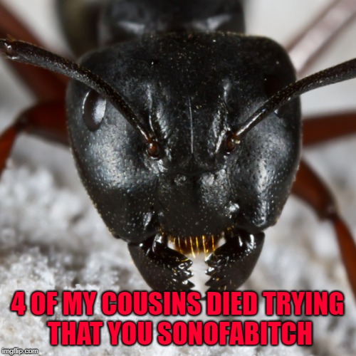 4 OF MY COUSINS DIED TRYING THAT YOU SONOFAB**CH | made w/ Imgflip meme maker