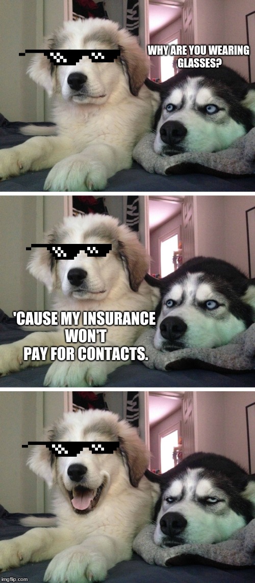 Bad pun dogs | WHY ARE YOU WEARING GLASSES? 'CAUSE MY INSURANCE WON'T PAY FOR CONTACTS. | image tagged in bad pun dogs,meet the robinsons,glasses,insurance | made w/ Imgflip meme maker