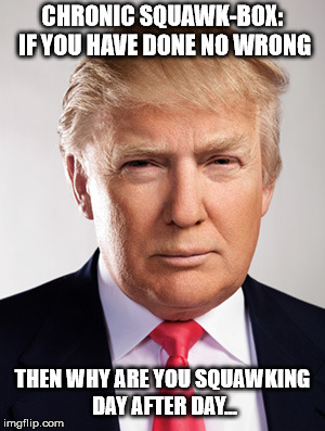 Donald Trump | CHRONIC SQUAWK-BOX: IF YOU HAVE DONE NO WRONG; THEN WHY ARE YOU SQUAWKING DAY AFTER DAY... | image tagged in donald trump | made w/ Imgflip meme maker
