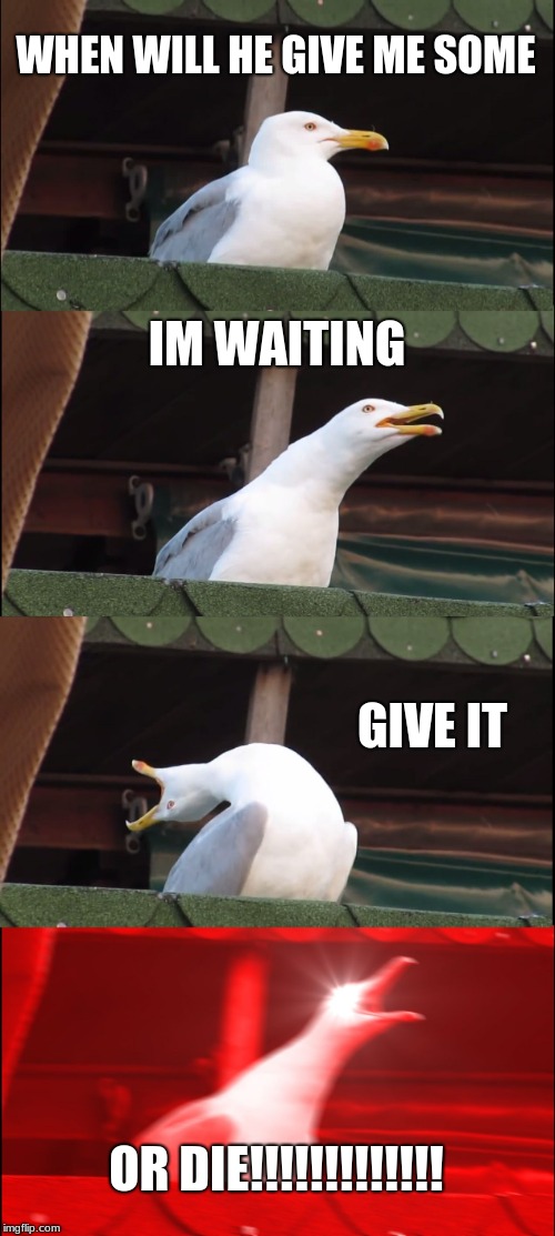 Inhaling Seagull Meme | WHEN WILL HE GIVE ME SOME; IM WAITING; GIVE IT; OR DIE!!!!!!!!!!!!! | image tagged in memes,inhaling seagull | made w/ Imgflip meme maker