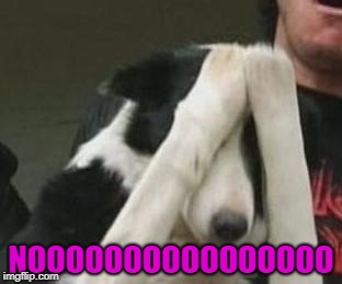 NOOOOOOOOOOOOOOOO | made w/ Imgflip meme maker