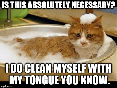 IS THIS ABSOLUTELY NECESSARY? I DO CLEAN MYSELF WITH MY TONGUE YOU KNOW. | image tagged in cat in bath | made w/ Imgflip meme maker