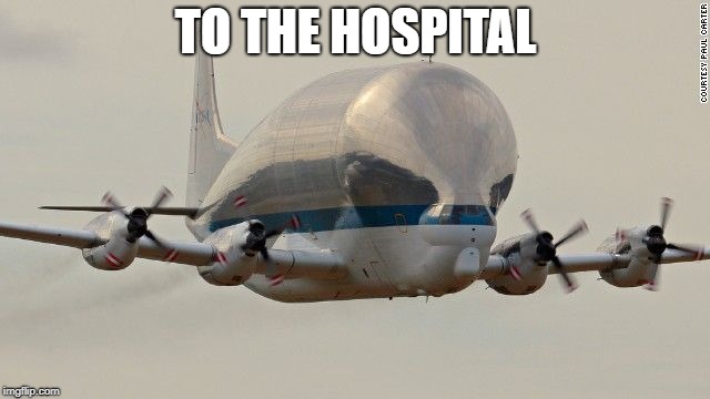 TO THE HOSPITAL | image tagged in beluga | made w/ Imgflip meme maker