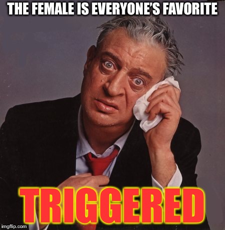 THE FEMALE IS EVERYONE’S FAVORITE TRIGGERED | made w/ Imgflip meme maker