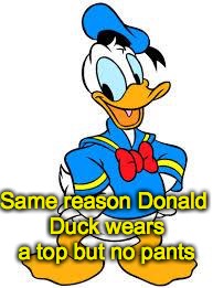 Same reason Donald Duck wears a top but no pants | made w/ Imgflip meme maker