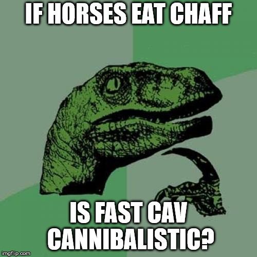 Philosoraptor Meme | IF HORSES EAT CHAFF; IS FAST CAV CANNIBALISTIC? | image tagged in memes,philosoraptor | made w/ Imgflip meme maker