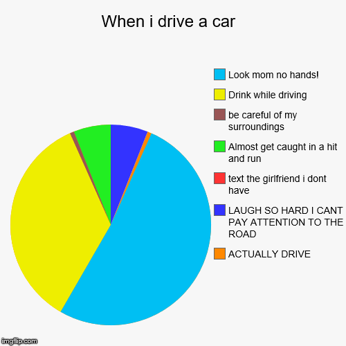 When i drive a car  | ACTUALLY DRIVE, LAUGH SO HARD I CANT PAY ATTENTION TO THE ROAD, text the girlfriend i dont have, Almost get caught in  | image tagged in funny,pie charts | made w/ Imgflip chart maker