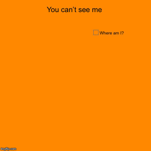 You can’t see me | Where am I? | image tagged in funny,pie charts | made w/ Imgflip chart maker