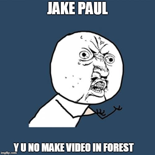 Y U No Meme | JAKE PAUL; Y U NO MAKE VIDEO IN FOREST | image tagged in memes,y u no | made w/ Imgflip meme maker