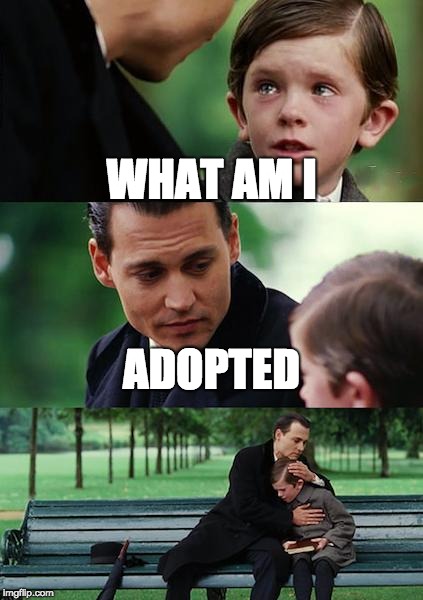 Finding Neverland | WHAT AM I; ADOPTED | image tagged in memes,finding neverland | made w/ Imgflip meme maker