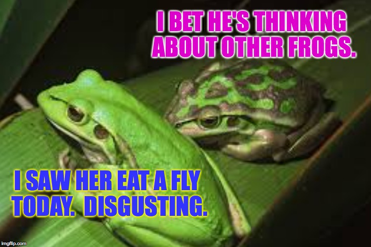 Frog Week June 4-10, a JBmemegeek & giveuahint event! | I BET HE'S THINKING ABOUT OTHER FROGS. I SAW HER EAT A FLY TODAY.  DISGUSTING. | image tagged in memes,frog week | made w/ Imgflip meme maker