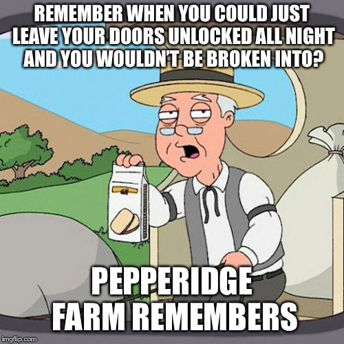 Pepperidge Farm Remembers Meme | REMEMBER WHEN YOU COULD JUST LEAVE YOUR DOORS UNLOCKED ALL NIGHT AND YOU WOULDN’T BE BROKEN INTO? PEPPERIDGE FARM REMEMBERS | image tagged in memes,pepperidge farm remembers | made w/ Imgflip meme maker