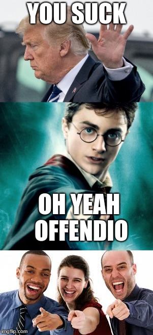 Offendio, the offend spell | YOU SUCK; OH YEAH OFFENDIO | image tagged in harry potter | made w/ Imgflip meme maker