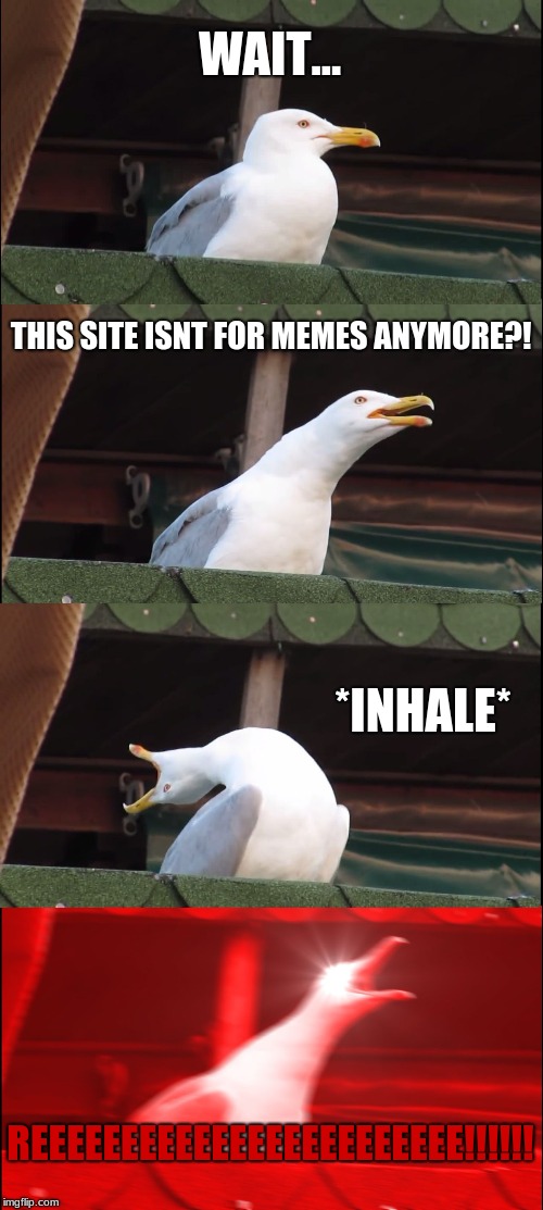 Inhaling Seagull | WAIT... THIS SITE ISNT FOR MEMES ANYMORE?! *INHALE*; REEEEEEEEEEEEEEEEEEEEEEEE!!!!!! | image tagged in memes,inhaling seagull | made w/ Imgflip meme maker