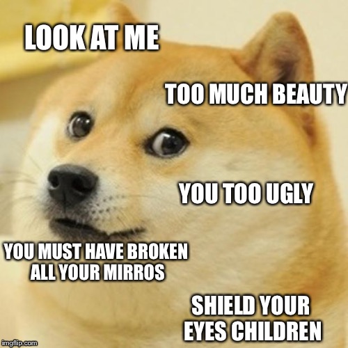 Doge | LOOK AT ME; TOO MUCH BEAUTY; YOU TOO UGLY; YOU MUST HAVE BROKEN ALL YOUR MIRROS; SHIELD YOUR EYES CHILDREN | image tagged in memes,doge | made w/ Imgflip meme maker