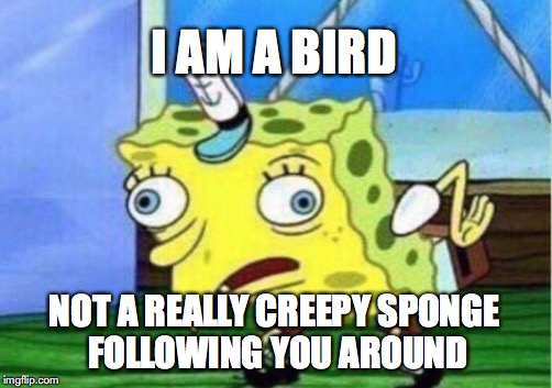 Mocking Spongebob Meme | I AM A BIRD; NOT A REALLY CREEPY SPONGE FOLLOWING YOU AROUND | image tagged in memes,mocking spongebob | made w/ Imgflip meme maker