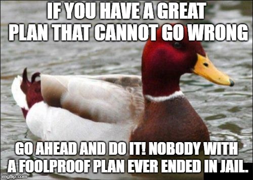 When your plan is foolproof, go ahead and do it! | IF YOU HAVE A GREAT PLAN THAT CANNOT GO WRONG; GO AHEAD AND DO IT! NOBODY WITH A FOOLPROOF PLAN EVER ENDED IN JAIL. | image tagged in memes,malicious advice mallard | made w/ Imgflip meme maker