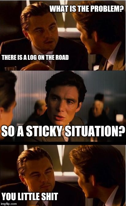 Inception Meme | WHAT IS THE PROBLEM? THERE IS A LOG ON THE ROAD; SO A STICKY SITUATION? YOU LITTLE SHIT | image tagged in memes,inception | made w/ Imgflip meme maker