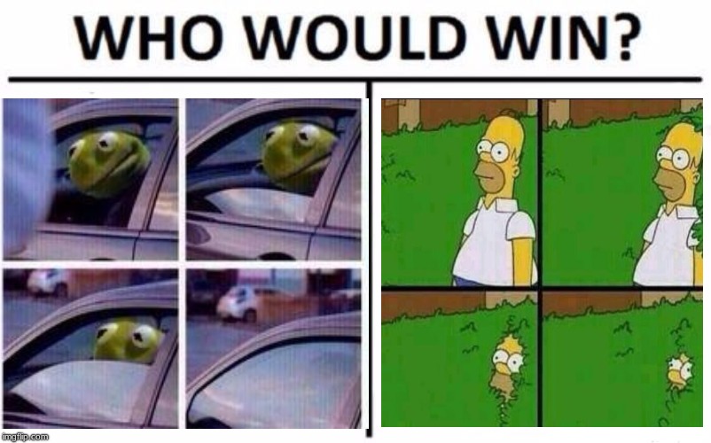 The choice of the century | image tagged in homer simpson,kermit the frog | made w/ Imgflip meme maker