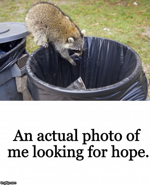 Racoon Looking in a trashcan | An actual photo of me looking for hope. | image tagged in trash,racoon,trash can,animals | made w/ Imgflip meme maker