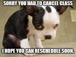 Sorry | SORRY YOU HAD TO CANCEL CLASS; I HOPE YOU CAN RESCHEDULE SOON. | image tagged in sorry | made w/ Imgflip meme maker