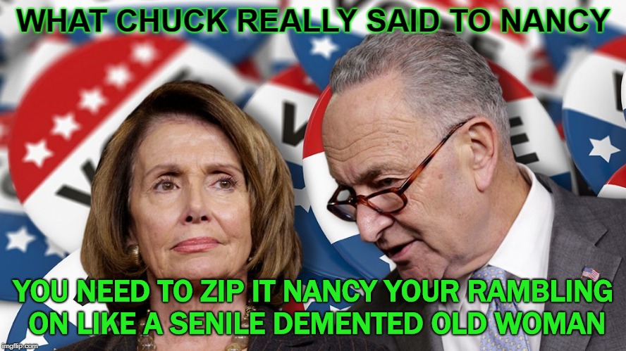 Help I fallen and i cant get up | WHAT CHUCK REALLY SAID TO NANCY; YOU NEED TO ZIP IT NANCY YOUR RAMBLING ON LIKE A SENILE DEMENTED OLD WOMAN | image tagged in nancy and chuck,looney tunes,limp liberals,too old to be in  office,senior center | made w/ Imgflip meme maker