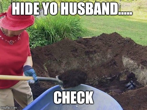 HIDE YO HUSBAND..... CHECK | made w/ Imgflip meme maker