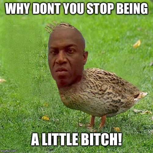Deebo Duck - coolbullshit | WHY DONT YOU STOP BEING A LITTLE B**CH! | image tagged in deebo duck - coolbullshit | made w/ Imgflip meme maker
