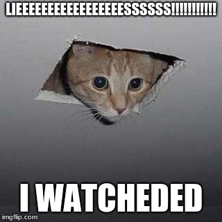 Ceiling Cat | LIEEEEEEEEEEEEEEEEESSSSSS!!!!!!!!!!! I WATCHEDED | image tagged in memes,ceiling cat | made w/ Imgflip meme maker