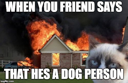 Burn Kitty Meme | WHEN YOU FRIEND SAYS; THAT HES A DOG PERSON | image tagged in memes,burn kitty,grumpy cat | made w/ Imgflip meme maker