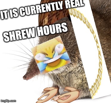 Yeet Boi | IT IS CURRENTLY REAL; SHREW HOURS | image tagged in yeet,boi | made w/ Imgflip meme maker