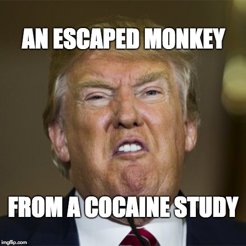 Image result for trump is a monkey on cocaine