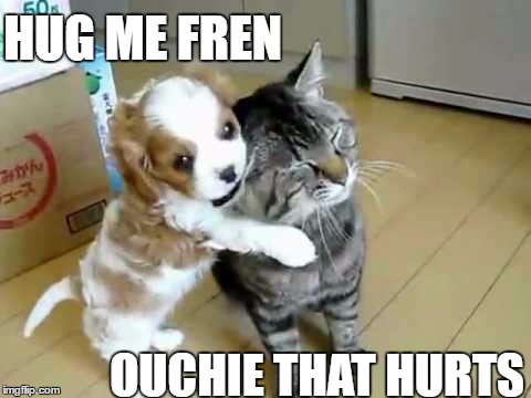 Doggo vs Kitteh | HUG ME FREN; OUCHIE THAT HURTS | image tagged in doggo,puppy,pupper,fight,hugs | made w/ Imgflip meme maker