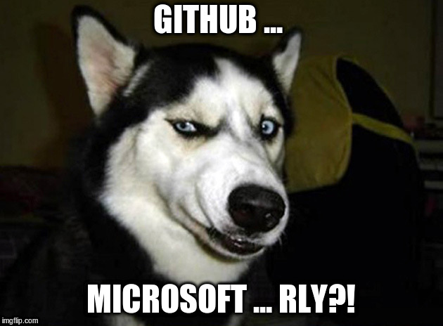 skeptical dog | GITHUB ... MICROSOFT ... RLY?! | image tagged in skeptical dog | made w/ Imgflip meme maker