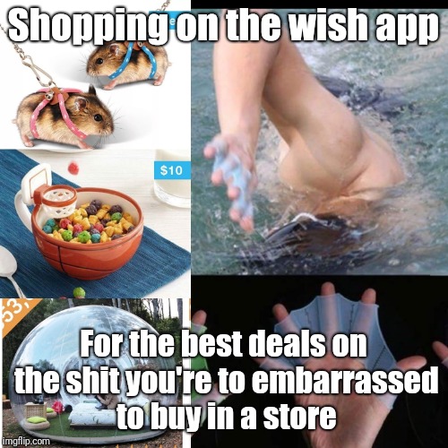 Wish | Shopping on the wish app; For the best deals on the shit you're to embarrassed to buy in a store | image tagged in memes,funny,shopping,wish,hamster | made w/ Imgflip meme maker