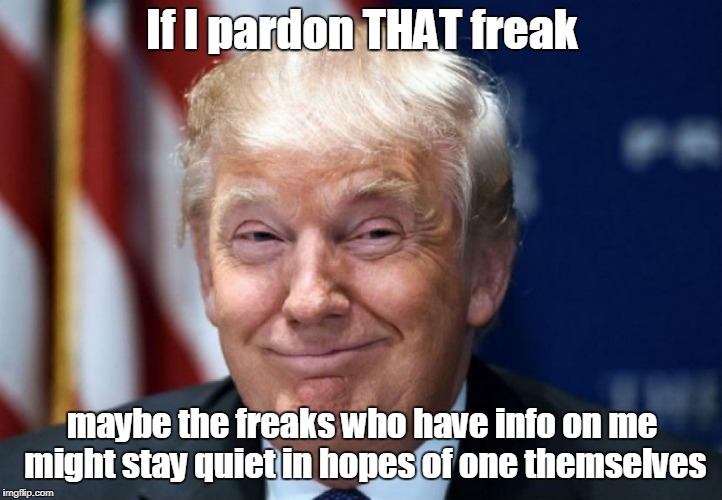 If I pardon THAT freak maybe the freaks who have info on me might stay quiet in hopes of one themselves | made w/ Imgflip meme maker
