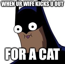 batman derp | WHEN UR WIFE KICKS U OUT; FOR A CAT | image tagged in batman derp | made w/ Imgflip meme maker