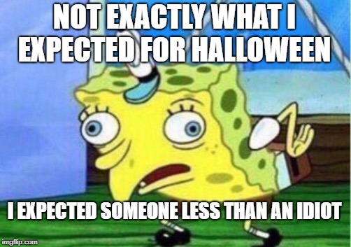 Mocking Spongebob | NOT EXACTLY WHAT I EXPECTED FOR HALLOWEEN; I EXPECTED SOMEONE LESS THAN AN IDIOT | image tagged in memes,mocking spongebob | made w/ Imgflip meme maker