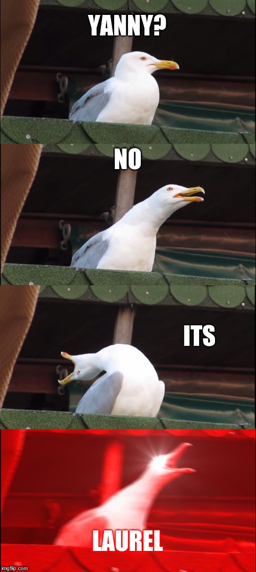 Inhaling Seagull | YANNY? NO; ITS; LAUREL | image tagged in memes,inhaling seagull | made w/ Imgflip meme maker