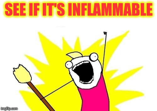 X All The Y Meme | SEE IF IT'S INFLAMMABLE | image tagged in memes,x all the y | made w/ Imgflip meme maker