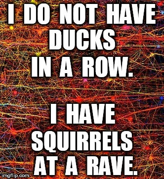 I do not have ducks in a row | I  DO  NOT  HAVE; DUCKS; IN  A  ROW. I  HAVE; SQUIRRELS  AT  A  RAVE. | image tagged in ducks,squirrels,rave | made w/ Imgflip meme maker