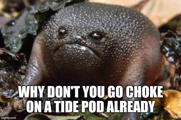 WHY DON'T YOU GO CHOKE ON A TIDE POD ALREADY | made w/ Imgflip meme maker