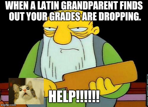 That's a paddlin' Meme | WHEN A LATIN GRANDPARENT FINDS OUT YOUR GRADES ARE DROPPING. HELP!!!!!! | image tagged in memes,that's a paddlin' | made w/ Imgflip meme maker