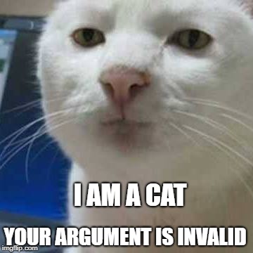 I AM A CAT; YOUR ARGUMENT IS INVALID | image tagged in cat,your argument is invalid,the most interesting cat in the world,i should buy a boat cat,take a seat cat | made w/ Imgflip meme maker