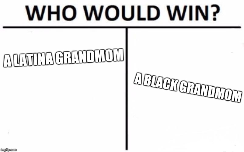 Who Would Win? Meme | A LATINA GRANDMOM; A BLACK GRANDMOM | image tagged in memes,who would win | made w/ Imgflip meme maker